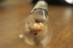 Bilder von heute