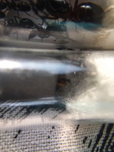 5167EBC2-EAF9-4B4A-BFD8-BA5BF6C65CF2.jpeg