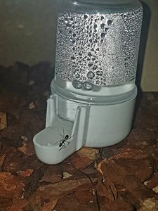 20181110_205812.jpg