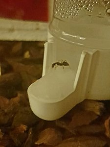 20181110_205906.jpg