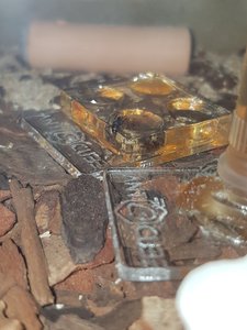 Insektenpulver bzw. Insektenbrei wird gierig angenommen