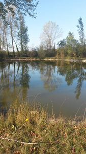 Dieser See ist in 10 Minuten  zu Fuß zu erreichen. Angel kann man hier übrigens auch und nicht nur wenig