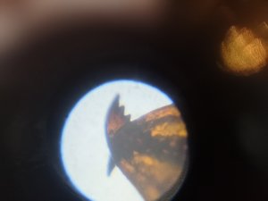 IMG_20181212_213606.jpg