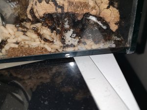 IMG_20190105_132058.jpg