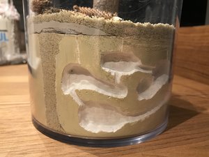 Kammern mit Luftschächten, Sand Trennschicht und Ton Isolierung