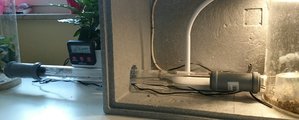 _20190317_091033.JPG