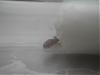 DSCN2179.JPG
