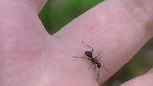 PIC_0078.JPG