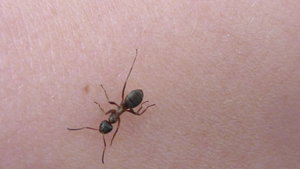 PIC_0080.JPG
