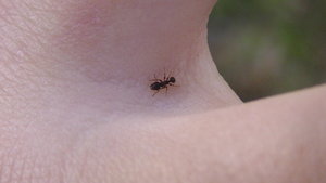 PIC_0081.JPG
