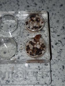 20190501_124826.jpg
