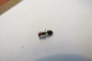 IMG_0001.JPG
