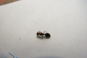 IMG_0004.JPG