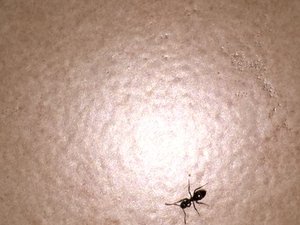 E208E23F-5D41-4AC4-A932-60D83B8ADB95.jpeg