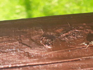 20190517_152557.jpg