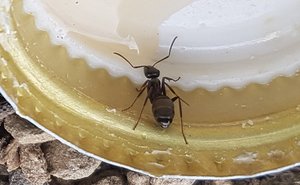 x20190523_171105.jpg
