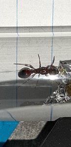 20190523_195235.jpg