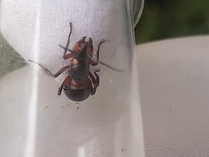 20190524_174510.jpg