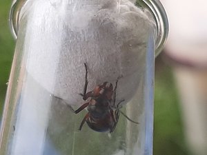 20190524_175317.jpg