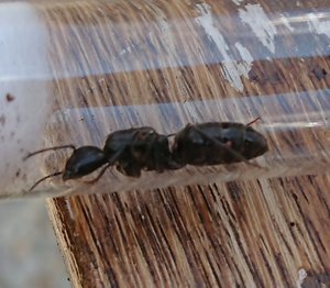 DSC_5850small.jpg