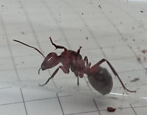 DSC_5847small.jpg