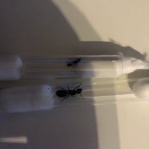 1BC1263A-19BC-498C-A82F-02CC2A8CA371.jpeg