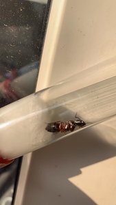 IMG-20190606-WA0004.jpg