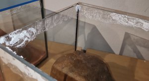 IMG_20190609_221123.jpg