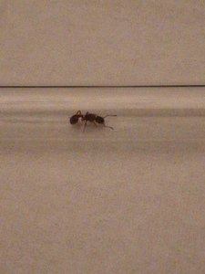 IMG_20190609_235143.jpg (1.98 MiB) 1258 mal betrachtet IMG_20190609_235143.jpg