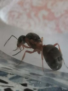 IMG_20190623_151343.jpg (1.44 MiB) 1412 mal betrachtet IMG_20190623_151343.jpg