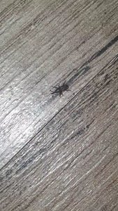 VideoCapture_20190629-071531.jpg