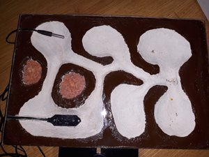 20190606_060223-min.jpg
