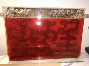 Das erste Nest, die Scheiben sind größtenteils verklebt worden und blickdicht.