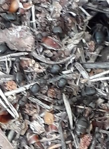 20190710_151744.jpg