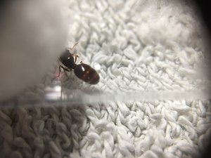 IMG_1977.JPG