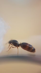 20190725_142034.jpg