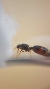 20190725_142045.jpg