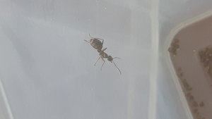 20190726_164611.jpg
