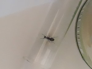 20190809_161916(0).jpg