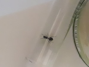 20190809_161914(1).jpg