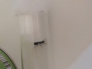 20190809_161856.jpg