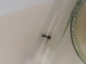 20190809_161913.jpg