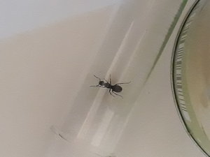 20190809_161918(0).jpg