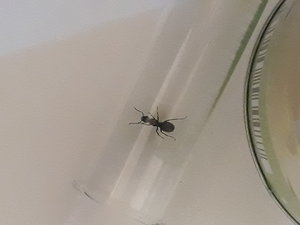 20190809_161919.jpg