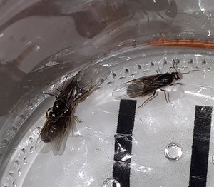 20190809_181823.jpg