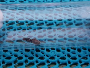 20190809_202051-3024x2268.jpg