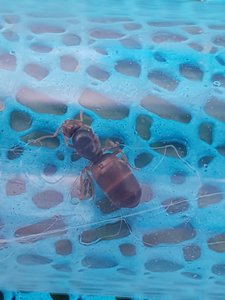 20190810_085326-2268x3024.jpg
