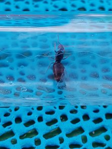 20190810_085002-2268x3024.jpg