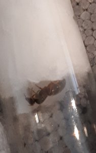 20190810_165416.jpg