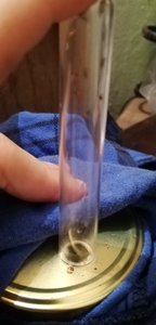 IMG_20190814_172732.jpg